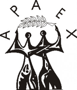 logo apaex