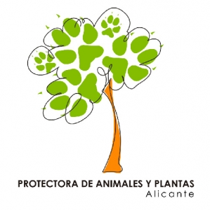 logo protectora